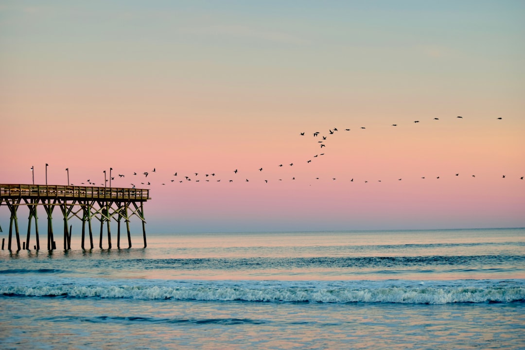 Atlantic Beach, North Carolina pier and coastline