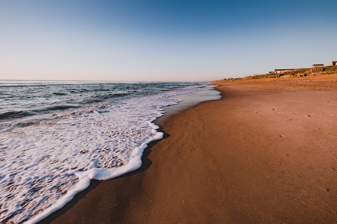 North Carolina barrier island maritime forest near Pine Knoll Shores