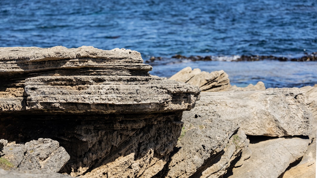 Living Shorelines on the Crystal Coast: Permitting, Benefits, and What Buyers Should Know — Crystal Coast property guide