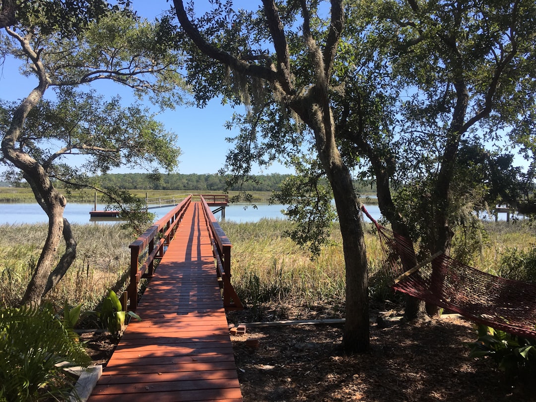 What NC's Property Tax Basics Mean for a Beaufort Waterfront Assessment — Crystal Coast property guide